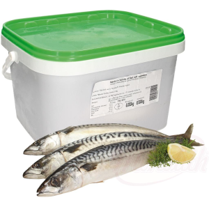 Makrela nevypitvaná, solená 500g